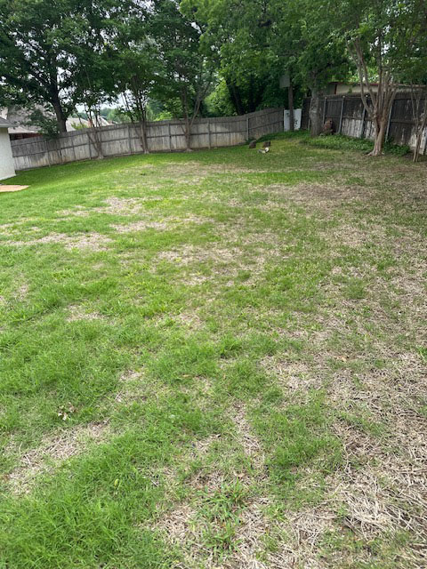 Take All Root Rot Burleson TX1